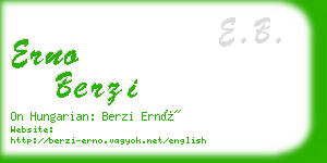 erno berzi business card